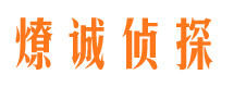 依兰市调查公司